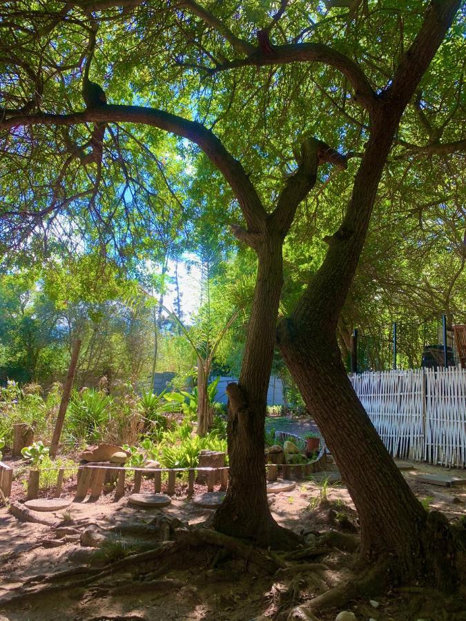 The Little Hideaway Guesthouse Stellenbosch Eksteriør bilde