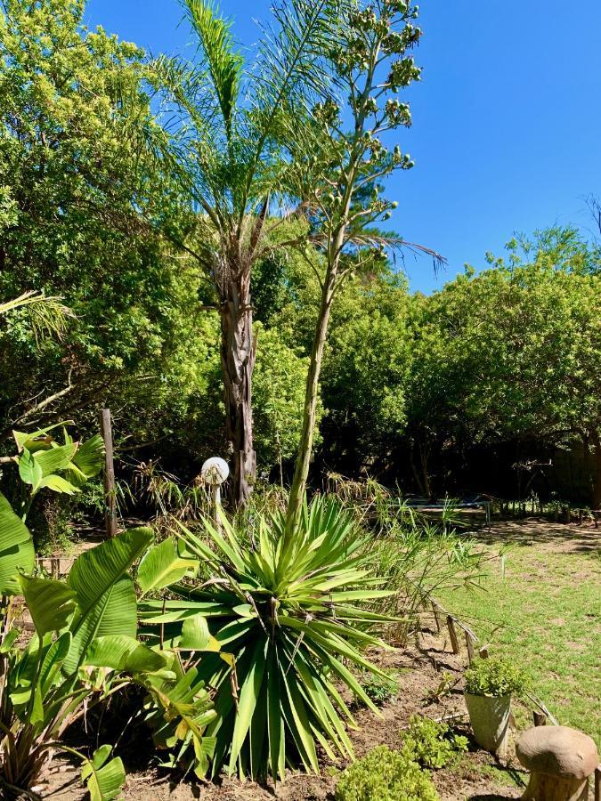 The Little Hideaway Guesthouse Stellenbosch Eksteriør bilde